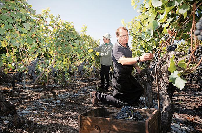 Swisswine Valais Cepages Indigenes