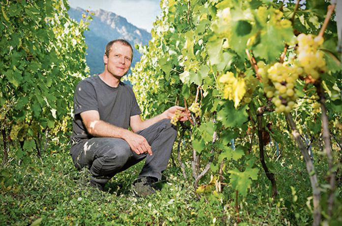 Swisswine Valais Cepages Indigenes