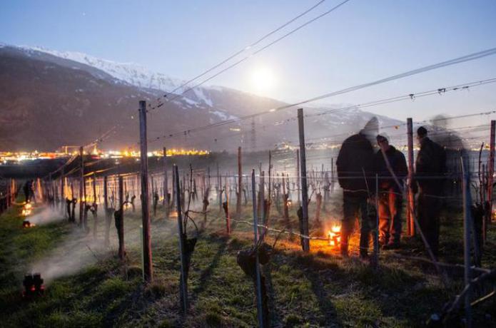 _swiss wine_preview__südostschweiz.jpg