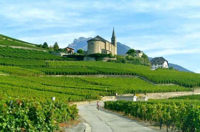 Swiss Wine, Valais, Bourg