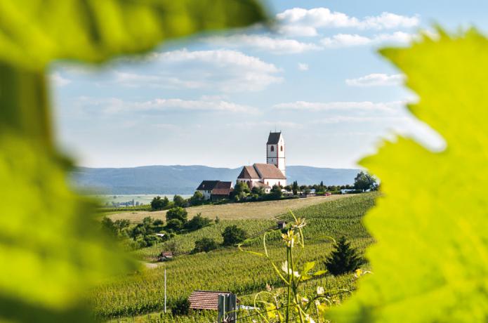 Schaffhausen; Blauburgunder Land, Hallau