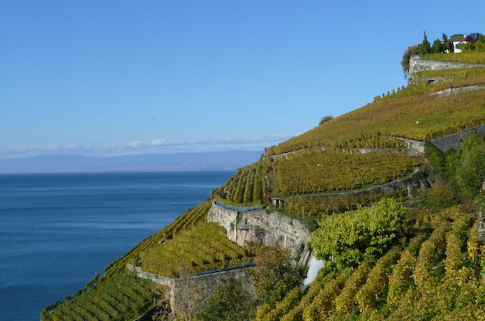 Swiss Wine, Vaud, Lavaux, Assemblée OIV 2019