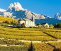 Swiss Wine, Valais, Bourg